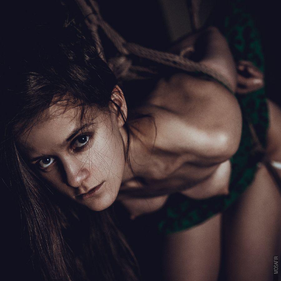 Shibari